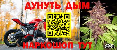 PSILOCYBIN Можга
