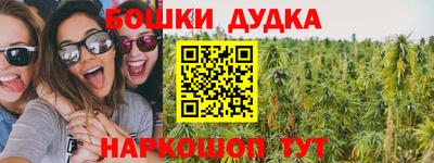 PSILOCYBIN Можга