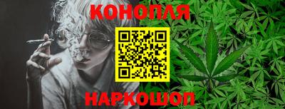 PSILOCYBIN Можга