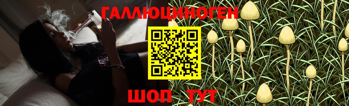 Галлюциногенные грибы Psilocybe  Псилоцибиновые грибы MAGIC MUSHROOMS  Вход с VPN  Вышний Волочёк 
